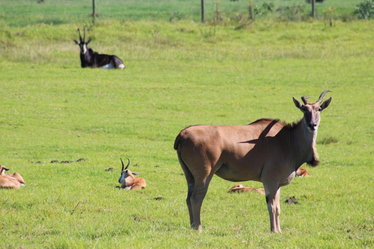 Sable Hill Villa George Eksteriør billede